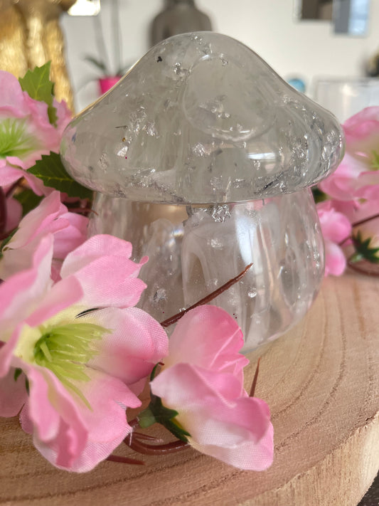 Boîte champignon