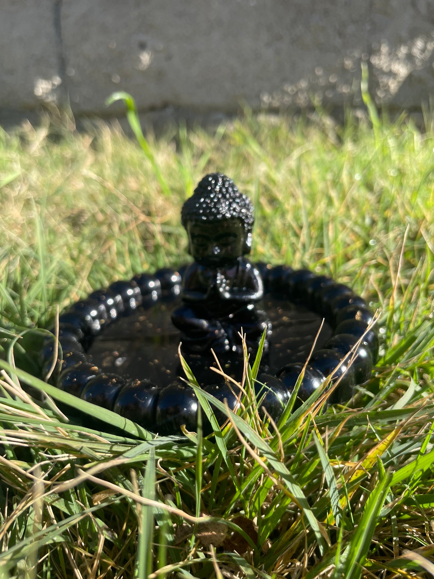 Vide poche bouddha